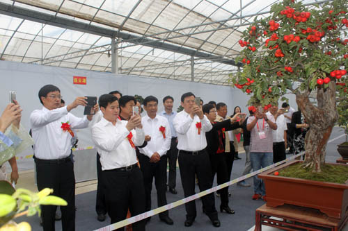 第三屆中國•沭陽花木節今日盛大開幕