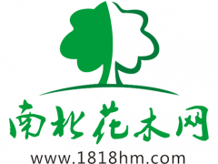 南北花木網Logo